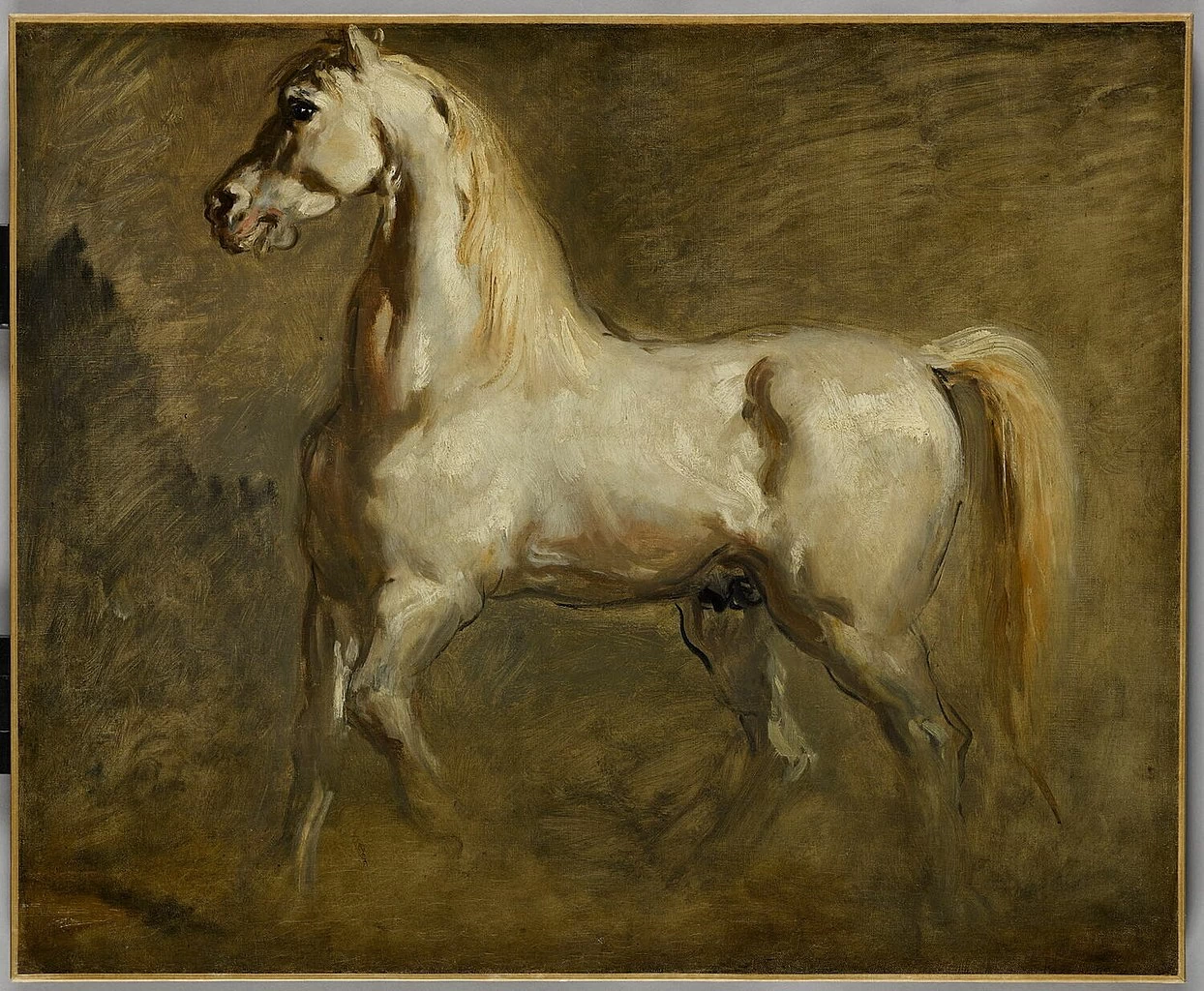 Cavallo bianco di profilo a sinistra. Studio, 1844 - Musée du Louvre, Parigi